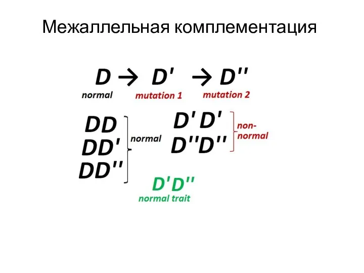 Межаллельная комплементация