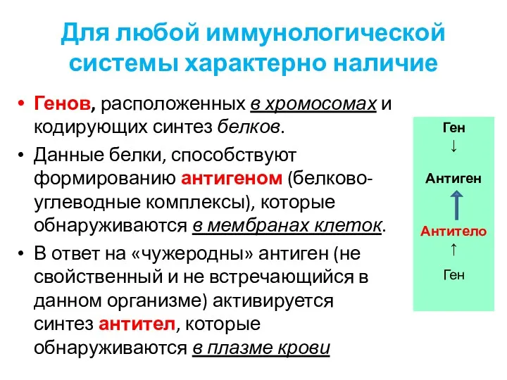 Для любой иммунологической системы характерно наличие Генов, расположенных в хромосомах