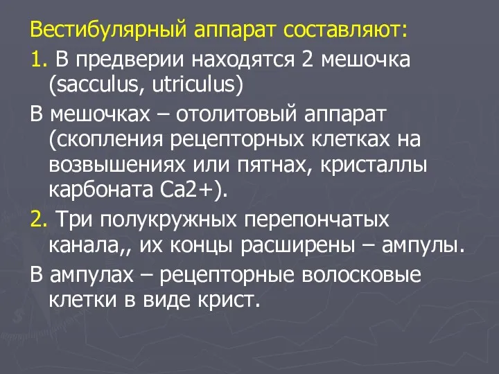 Вестибулярный аппарат составляют: 1. В предверии находятся 2 мешочка (sacculus,