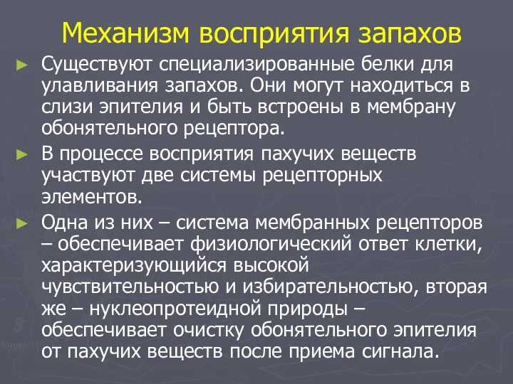 Механизм восприятия запахов Существуют специализированные белки для улавливания запахов. Они