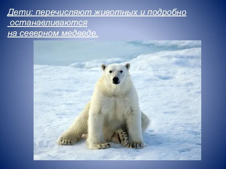 Дети: перечисляют животных и подробно останавливаются на северном медведе.