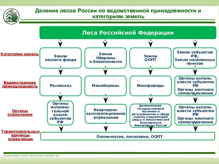 Леса Российской Федерации Земли лесного фонда Земли Обороны и безопасности