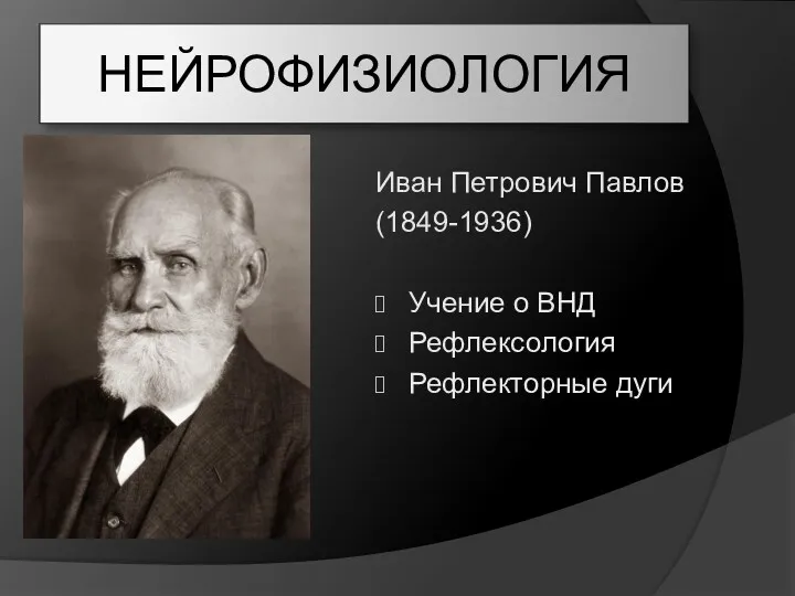НЕЙРОФИЗИОЛОГИЯ Иван Петрович Павлов (1849-1936) Учение о ВНД Рефлексология Рефлекторные дуги