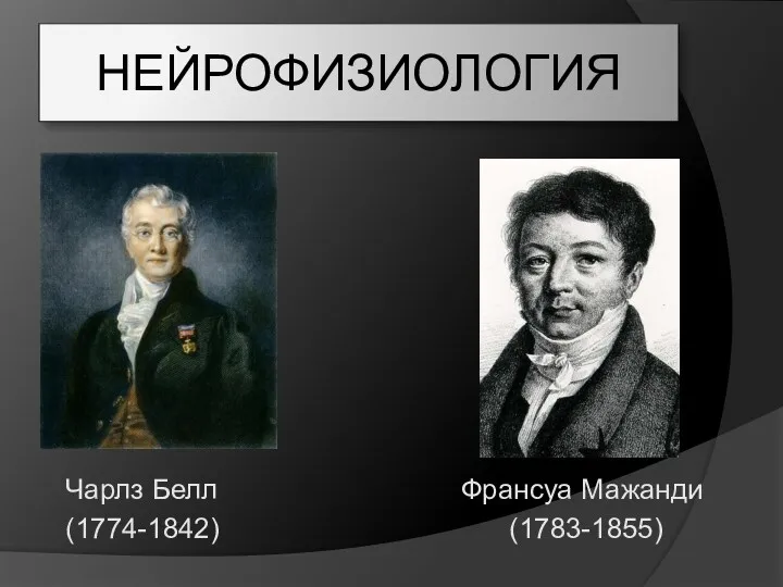 НЕЙРОФИЗИОЛОГИЯ Чарлз Белл Франсуа Мажанди (1774-1842) (1783-1855)