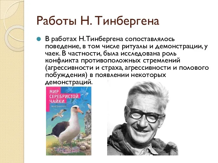 Работы Н. Тинбергена В работах Н.Тинбергена сопоставлялось поведение, в том