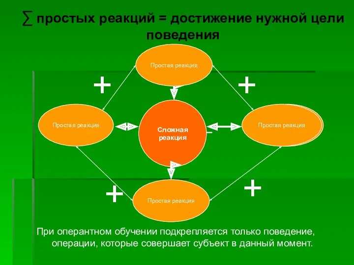 При оперантном обучении подкрепляется только поведение, операции, которые совершает субъект