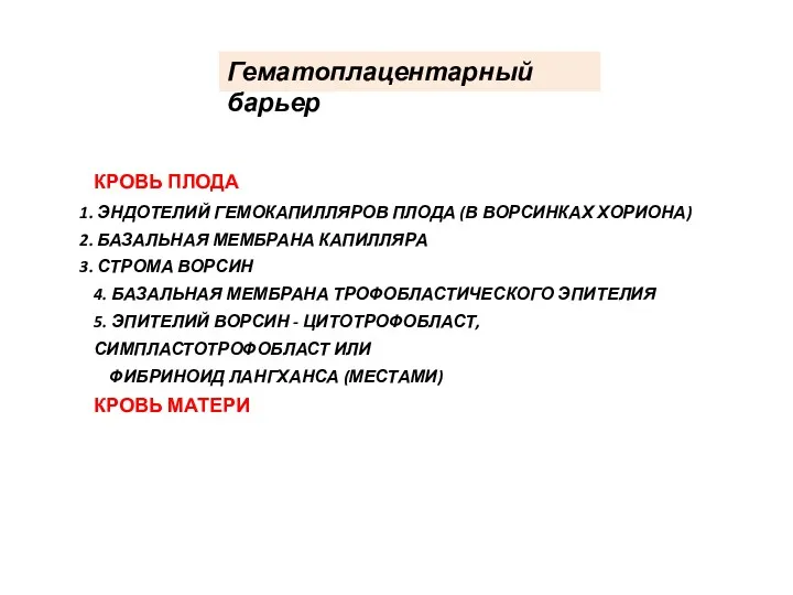 КРОВЬ ПЛОДА ЭНДОТЕЛИЙ ГЕМОКАПИЛЛЯРОВ ПЛОДА (В ВОРСИНКАХ ХОРИОНА) БАЗАЛЬНАЯ МЕМБРАНА