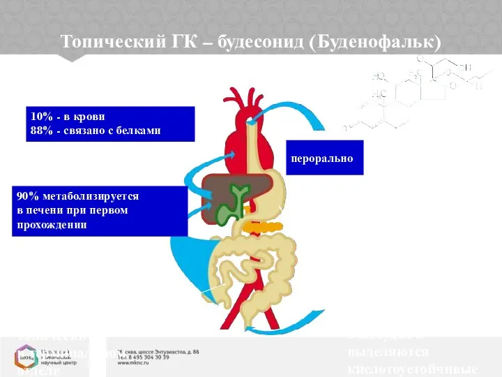 перорально 10% - в крови 88% - связано с белками 90% метаболизируется в