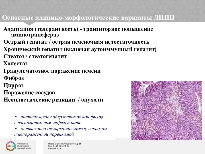 Основные клинико-морфологические варианты ЛИПП Адаптация (толерантность) - транзиторное повышение аминотрансфераз Острый гепатит /