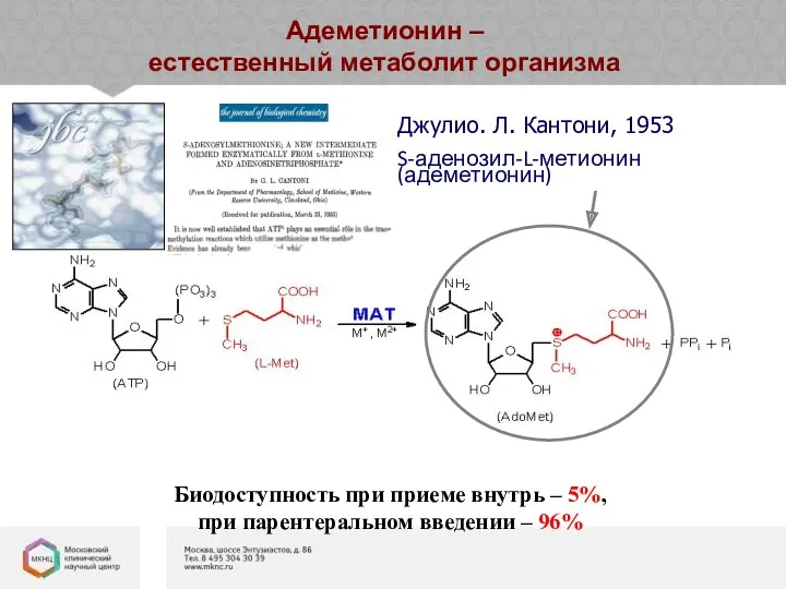 Джулио. Л. Кантони, 1953 S-аденозил-L-метионин (адеметионин) Адеметионин – естественный метаболит организма Биодоступность при
