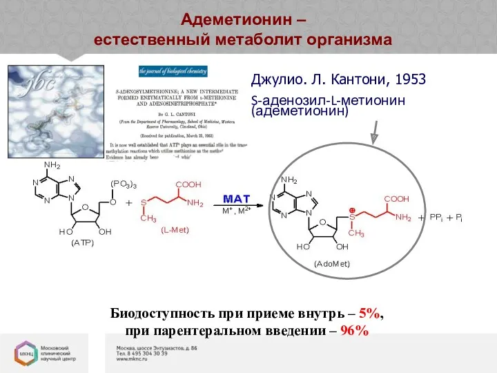 Джулио. Л. Кантони, 1953 S-аденозил-L-метионин (адеметионин) Адеметионин – естественный метаболит