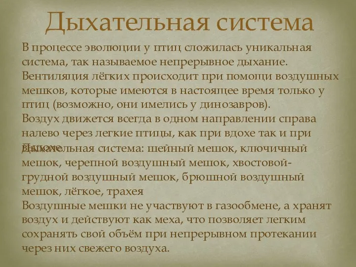 Дыхательная система Дыхательная система: шейный мешок, ключичный мешок, черепной воздушный