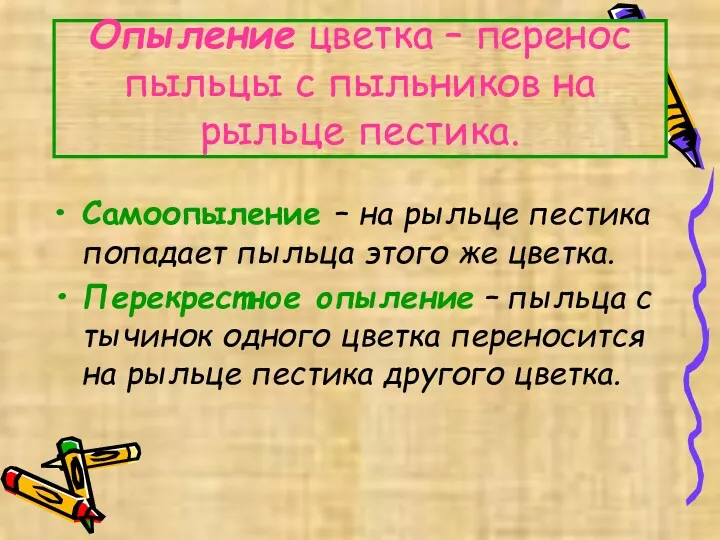 Опыление цветка – перенос пыльцы с пыльников на рыльце пестика.