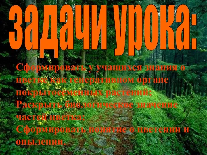 Сформировать у учащихся знания о цветке как генеративном органе покрытосеменных