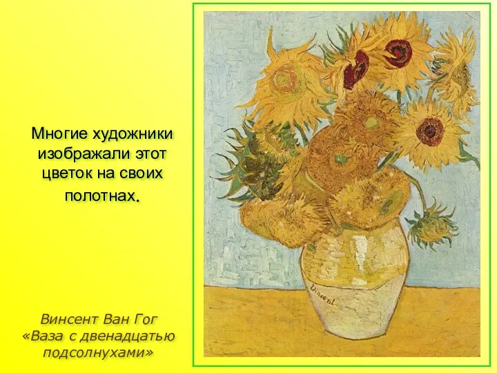 Винсент Ван Гог «Ваза с двенадцатью подсолнухами» Многие художники изображали этот цветок на своих полотнах.