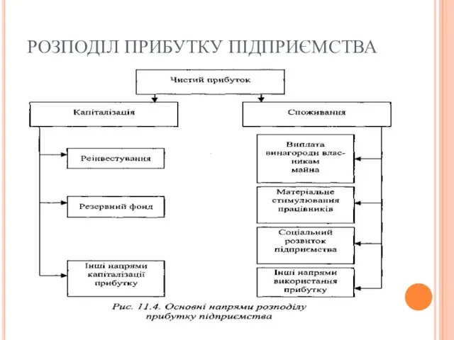 РОЗПОДІЛ ПРИБУТКУ ПІДПРИЄМСТВА