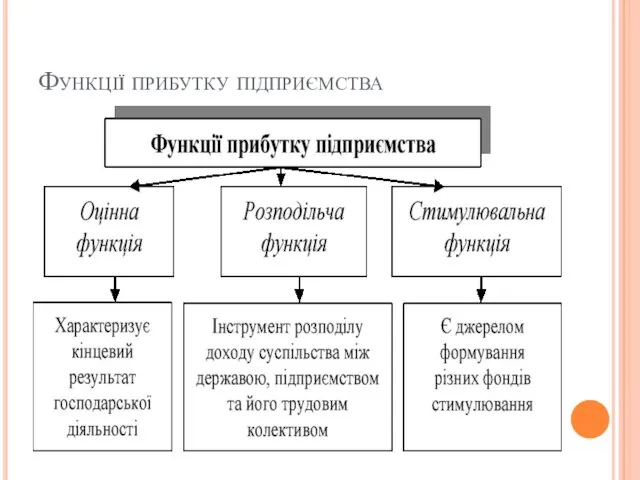 Функції прибутку підприємства