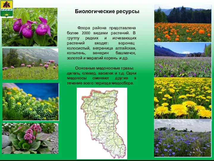 Биологические ресурсы Флора района представлена более 2000 видами растений. В группу редких и