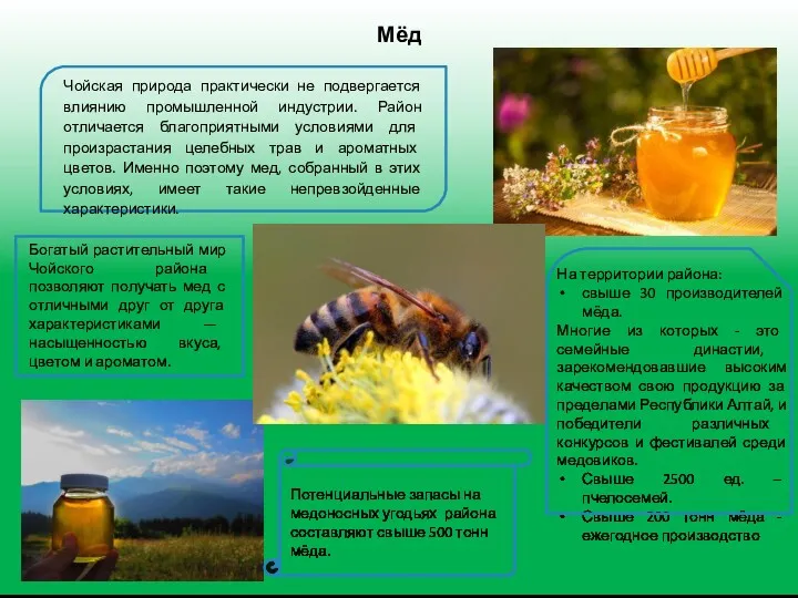 Мёд На территории района: свыше 30 производителей мёда. Многие из которых - это