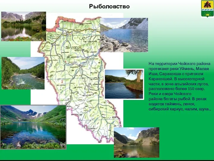 Рыболовство На территории Чойского района протекают реки Уймень, Малая Иша,
