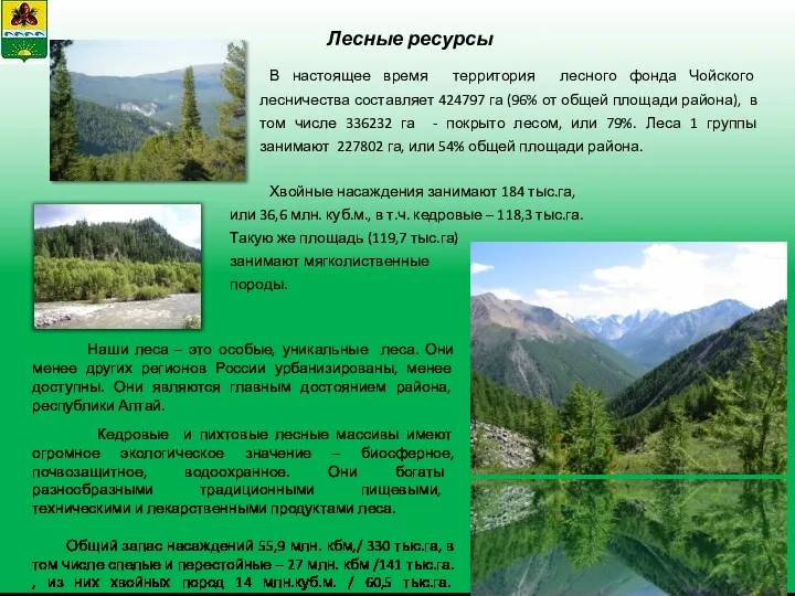 В настоящее время территория лесного фонда Чойского лесничества составляет 424797 га (96% от