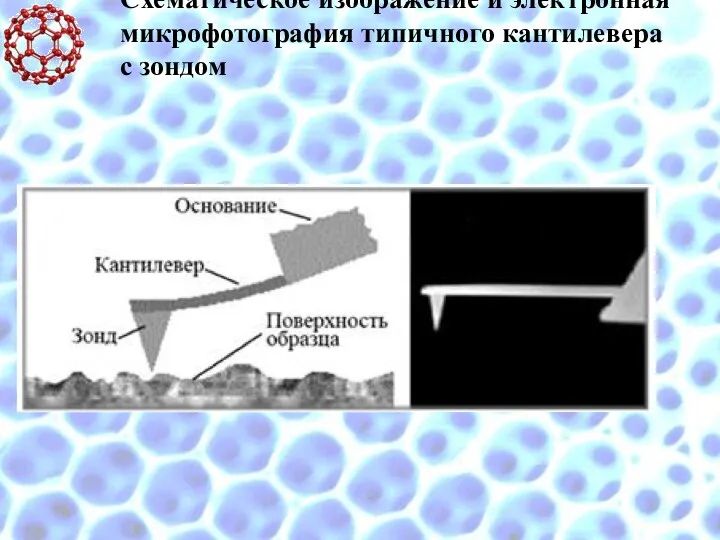 Схематическое изображение и электронная микрофотография типичного кантилевера с зондом