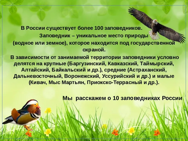 В России существует более 100 заповедников. Заповедник – уникальное место