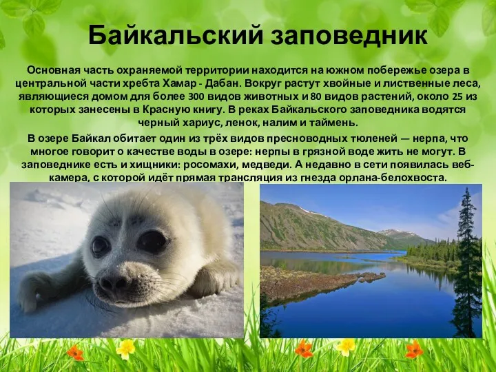 Байкальский заповедник Основная часть охраняемой территории находится на южном побережье