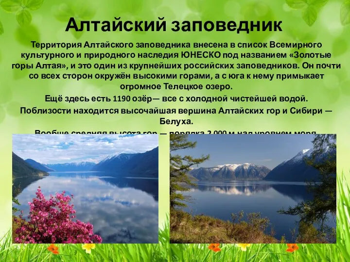 Алтайский заповедник Территория Алтайского заповедника внесена в список Всемирного культурного