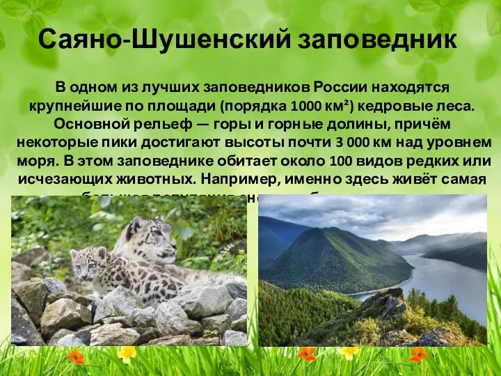 Саяно-Шушенский заповедник В одном из лучших заповедников России находятся крупнейшие