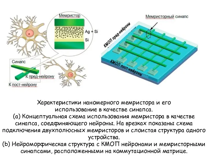 Характеристики наномерного мемристора и его использование в качестве синапса. (a)