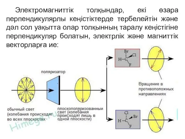 Электромагниттік толқындар, екі өзара перпендикулярлы кеңістіктерде тербелейтін және дәл сол