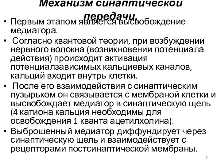 Механизм синаптической передачи. Первым этапом является высвобождение медиатора. Согласно квантовой