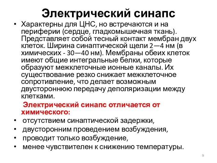 Электрический синапс Характерны для ЦНС, но встречаются и на периферии