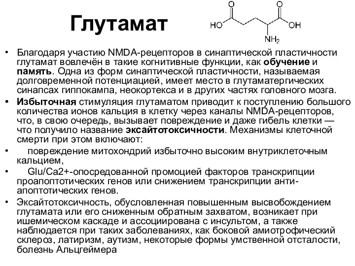 Благодаря участию NMDA-рецепторов в синаптической пластичности глутамат вовлечён в такие