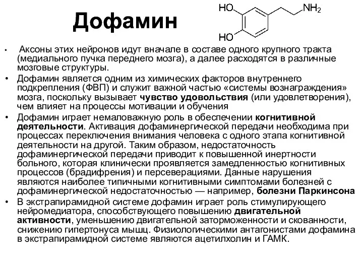 Дофамин Аксоны этих нейронов идут вначале в составе одного крупного