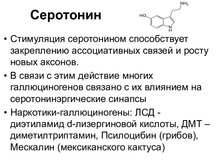 Стимуляция серотонином способствует закреплению ассоциативных связей и росту новых аксонов.