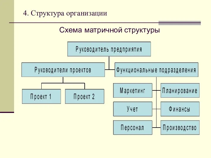 4. Структура организации Схема матричной структуры