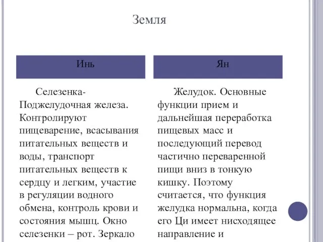 Земля Селезенка-Поджелудочная железа. Контролируют пищеварение, всасывания питательных веществ и воды,