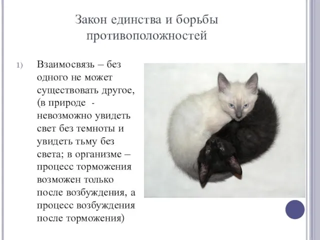 Закон единства и борьбы противоположностей Взаимосвязь – без одного не