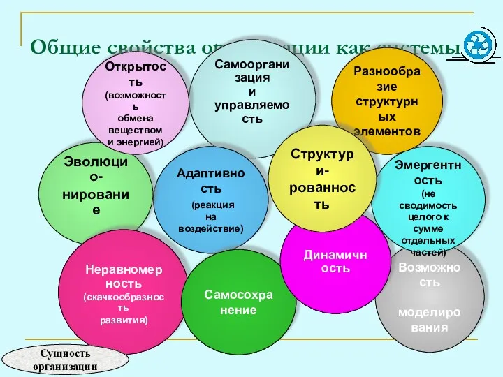 Общие свойства организации как системы Самоорганизация и управляемость Возможность моделирования