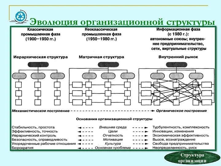 Эволюция организационной структуры Структура организации