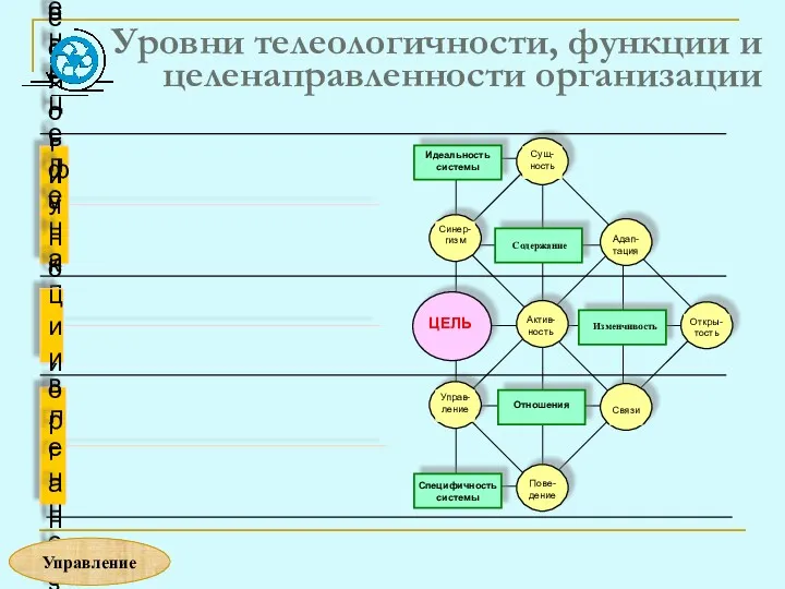 Уровни телеологичности, функции и целенаправленности организации Уровень телеологичности организации Уровень целенаправленности организации Уровень функции организации Управление