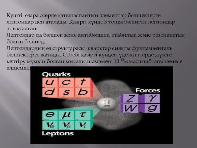 Күшті өзара әсерде қатынаспайтын элементар бөлшектерге лептондар деп аталады. Қазіргі