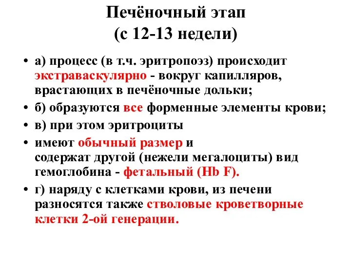 Печёночный этап (с 12-13 недели) а) процесс (в т.ч. эритропоэз)