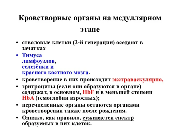 Кроветворные органы на медуллярном этапе стволовые клетки (2-й генерации) оседают