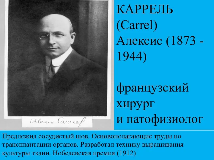 Предложил сосудистый шов. Основополагающие труды по трансплантации органов. Разработал технику