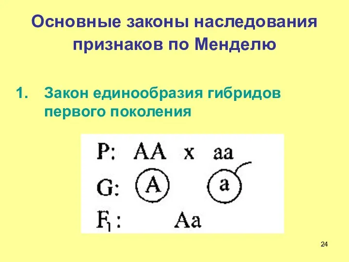 Основные законы наследования признаков по Менделю Закон единообразия гибридов первого поколения