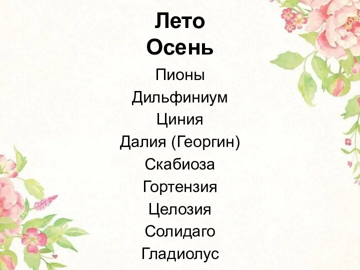 Лето Осень Пионы Дильфиниум Циния Далия (Георгин) Скабиоза Гортензия Целозия Солидаго Гладиолус Листья клена Снежноягодник Протея