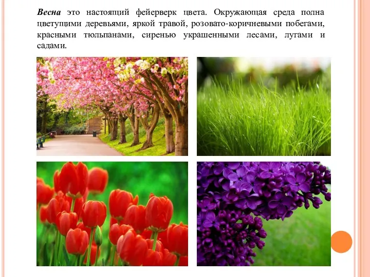 Весна это настоящий фейерверк цвета. Окружающая среда полна цветущими деревьями,